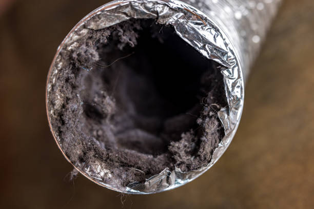 Best Affordable HVAC Duct Cleaning  in Vado, NM